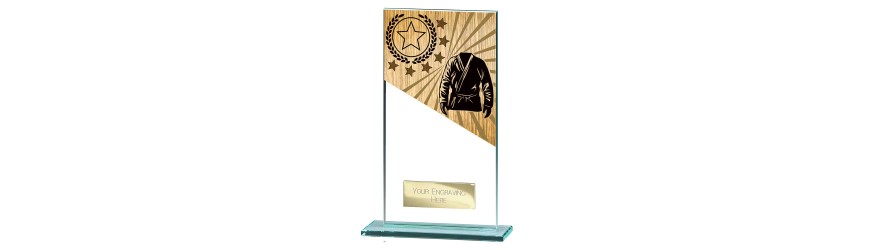 MUSTANG MARTIAL ARTS GLASS TROPHY - 5 SIZES - 11CM - 18CM MUSTANG MARTIAL ARTS GLASS TROPHY - 5 SIZES - 11CM - 18CM
